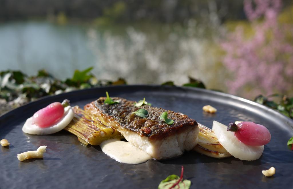 Logis Hotels Domaine Du Chatelard Dirac Εξωτερικό φωτογραφία